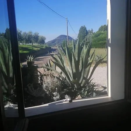 Ca' Beldi' A Un'ora Da Venezia Nel Parco Dei Colli Euganei. * Boccon