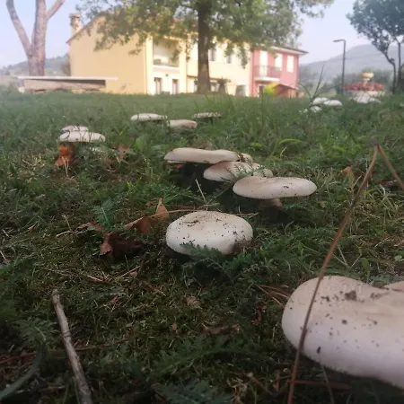 Ca' Beldi' A Un'ora Da Venezia Nel Parco Dei Colli Euganei.
